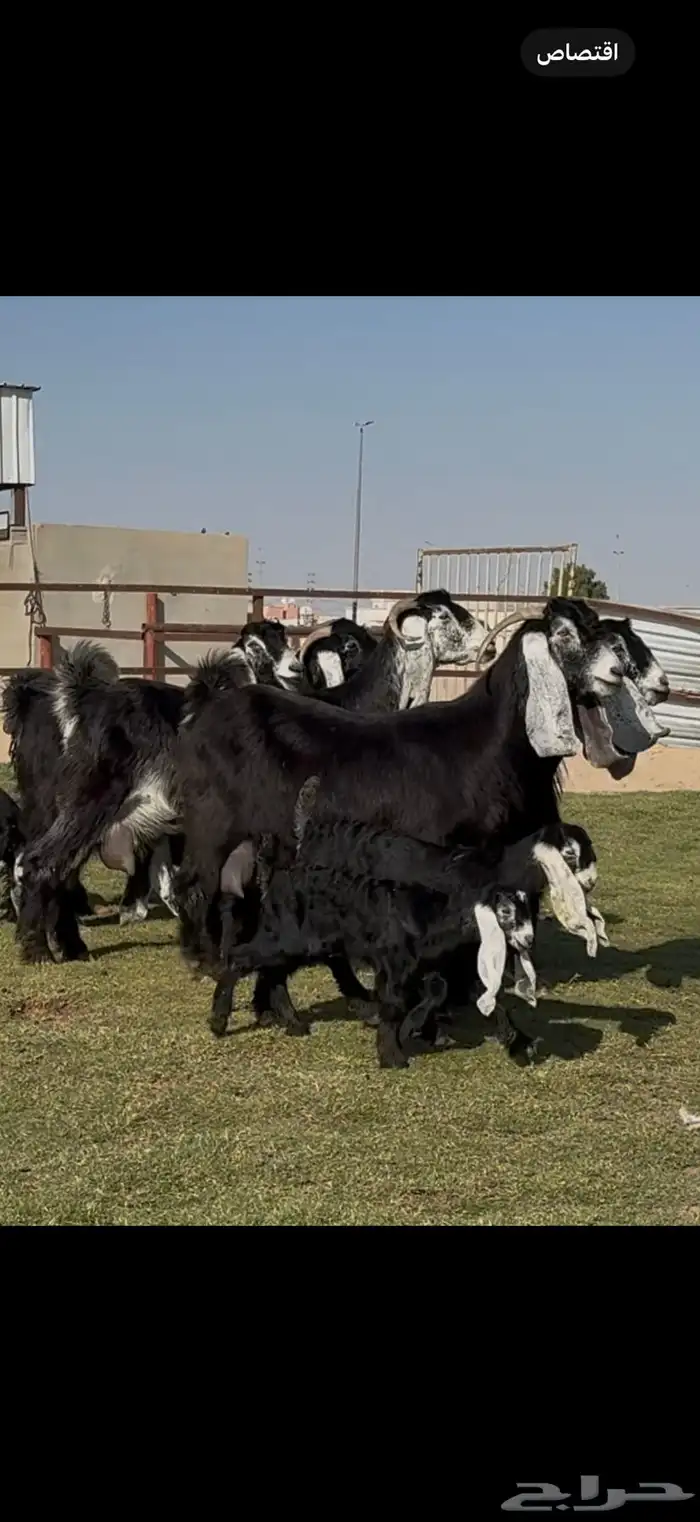 متابيع عوارض خصم 3