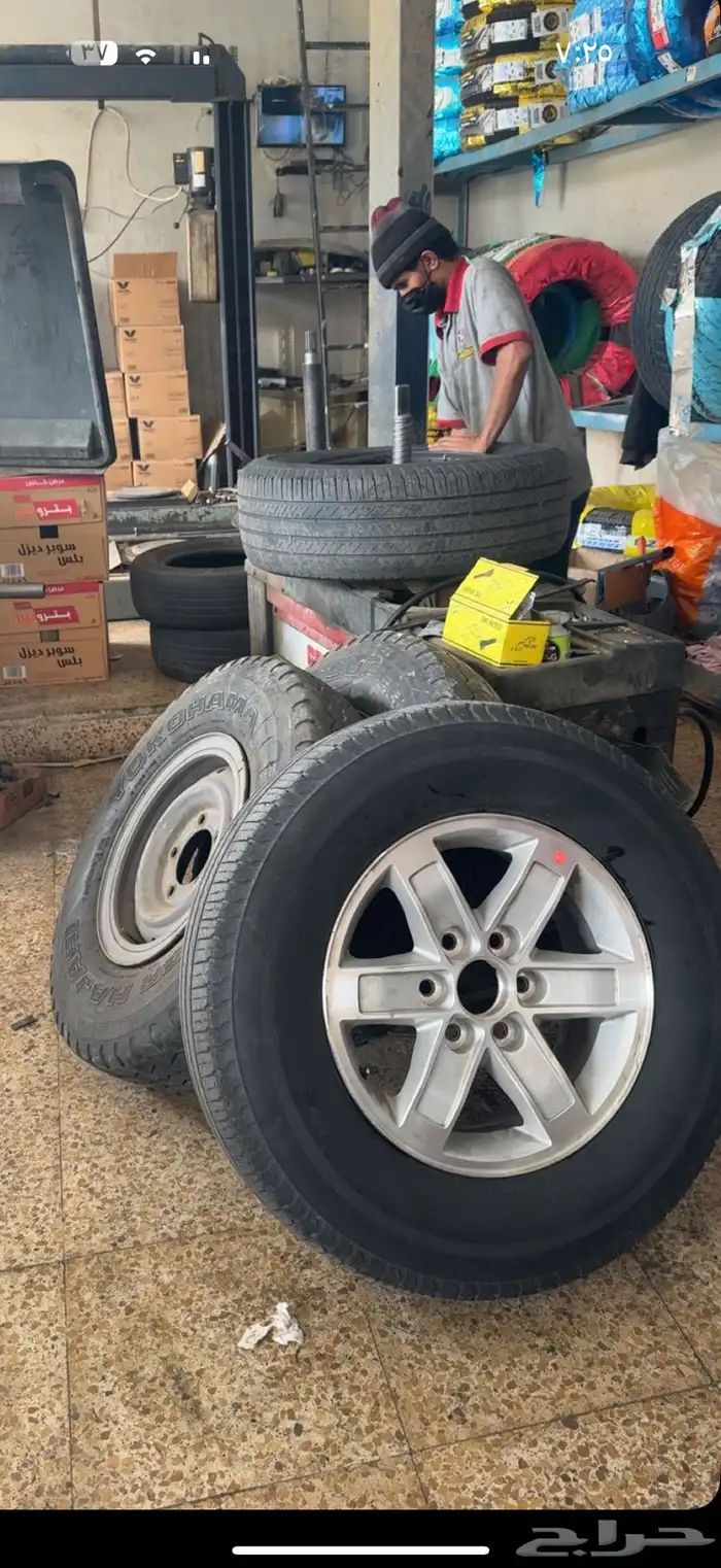 جنوط يوكن 2013 8