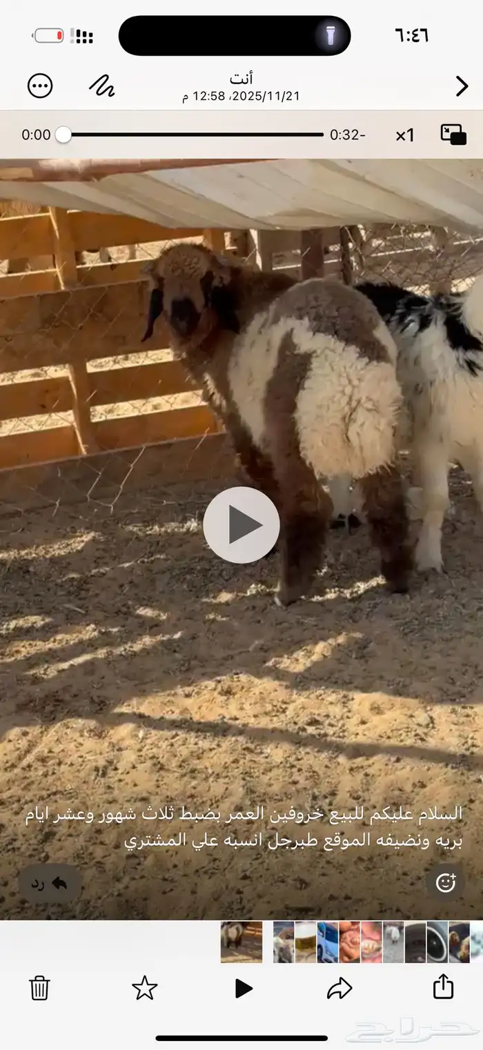 خرفان هرافي 0