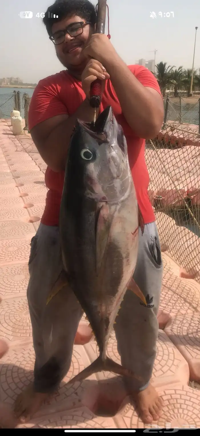 قارب رحلات بحرية 15