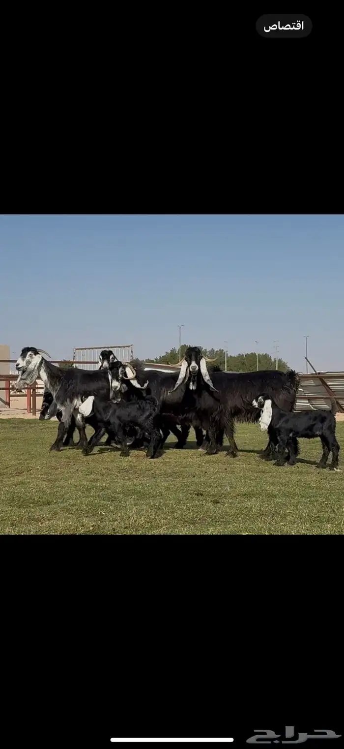 متابيع عوارض خصم 6