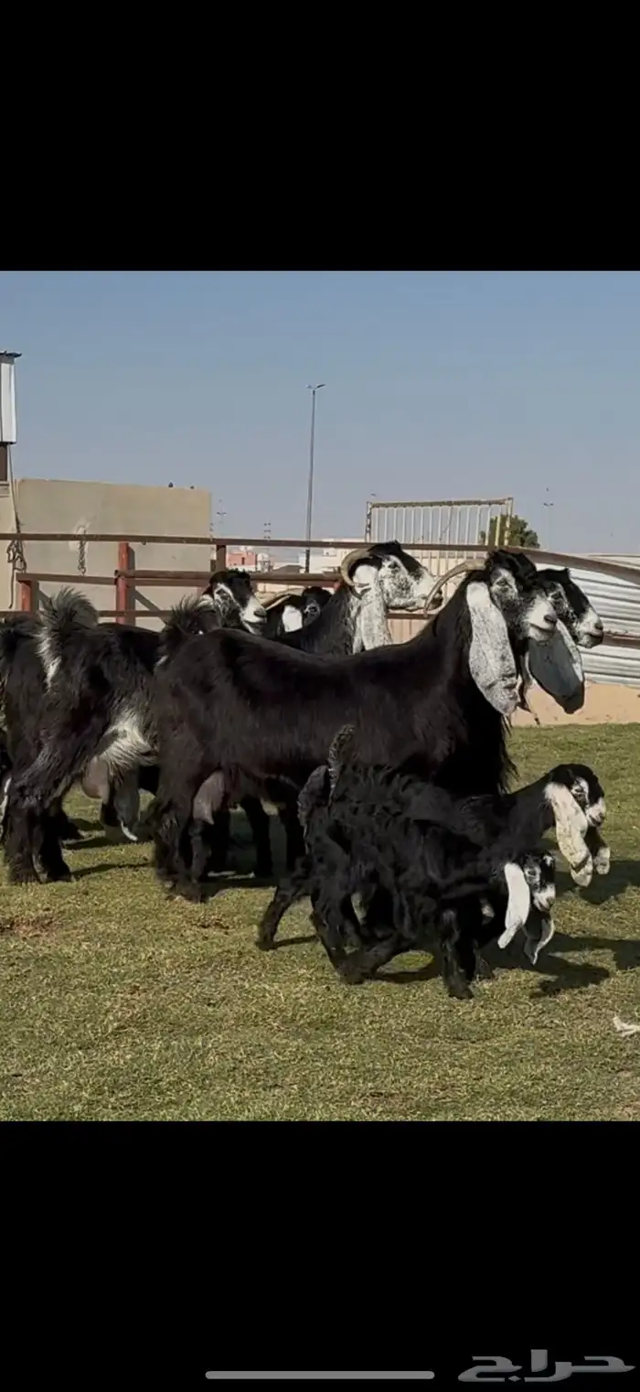 متابيع عوارض خصم 1