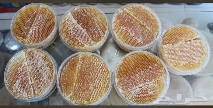 عسل سدر دوعني فاخر وعسل السمره 1