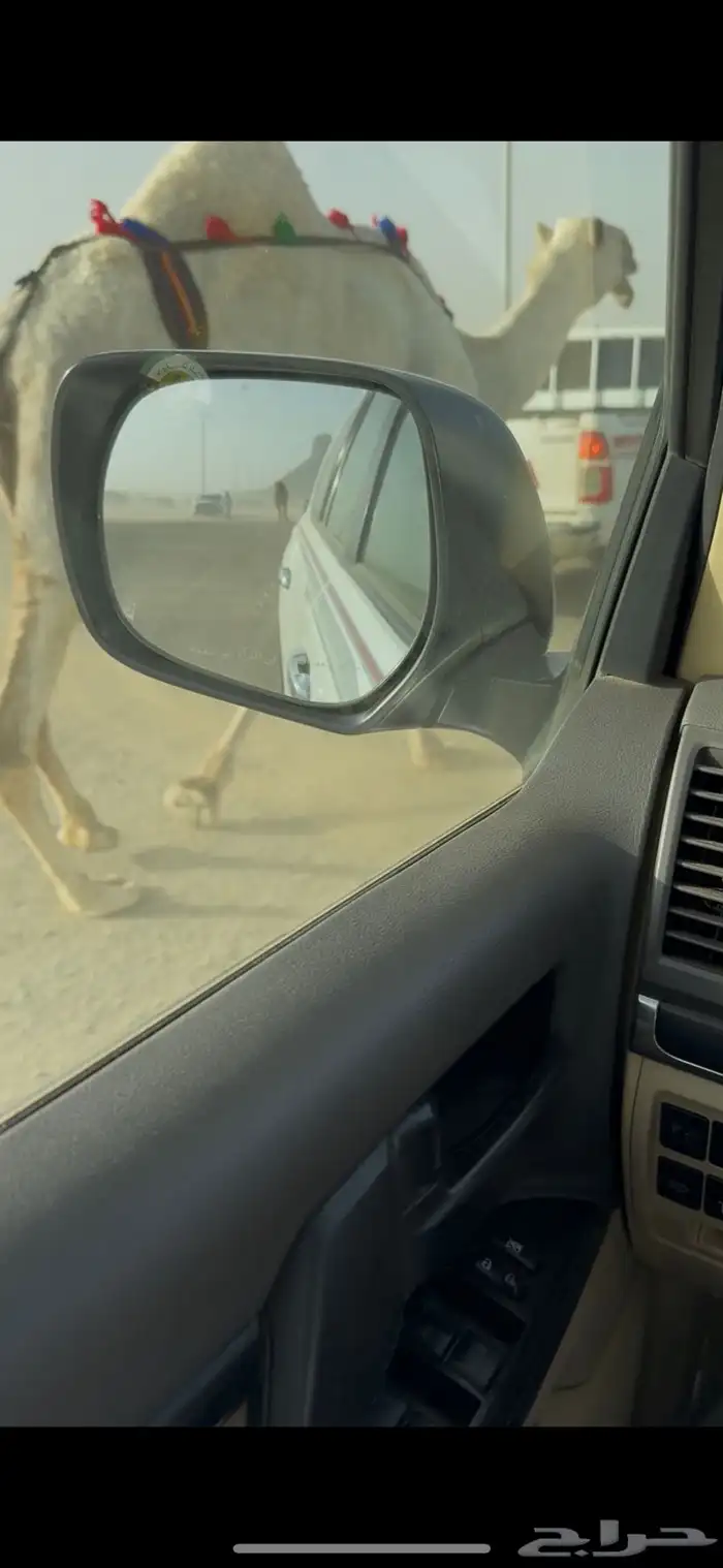 خلفه وضحا حليبها سطل وهديه وع جميع الشروط 18