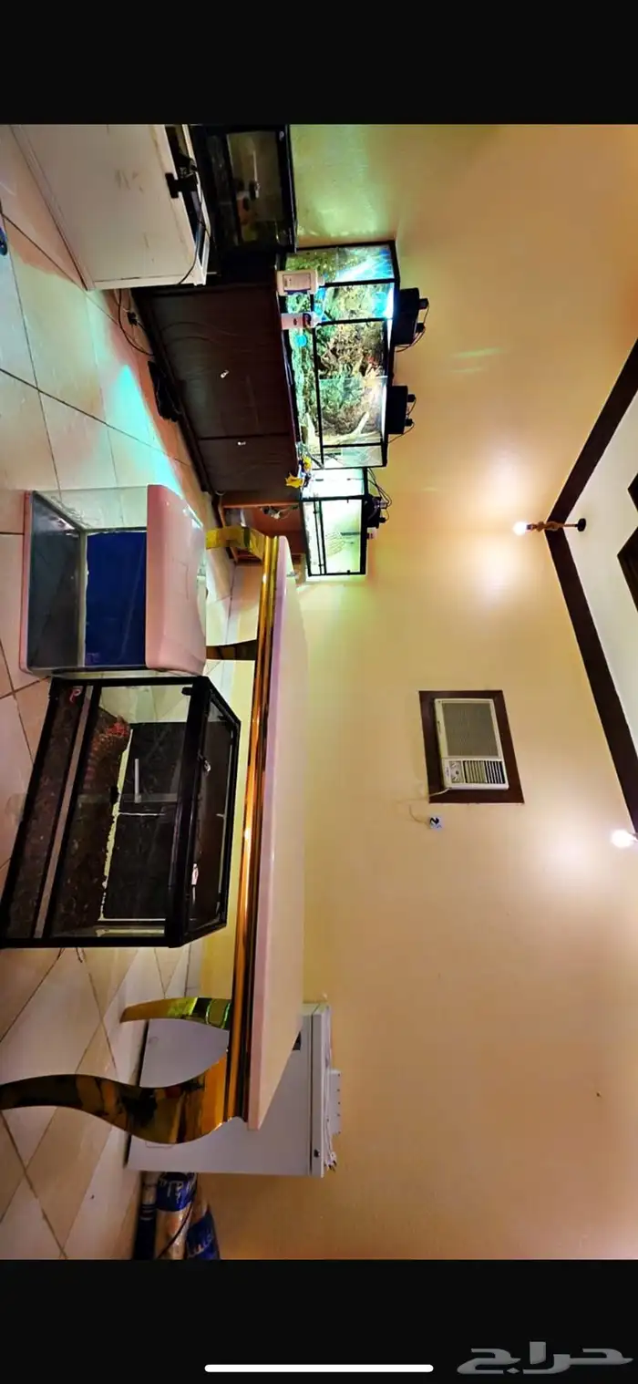 حوض زواحف وزواحف 0