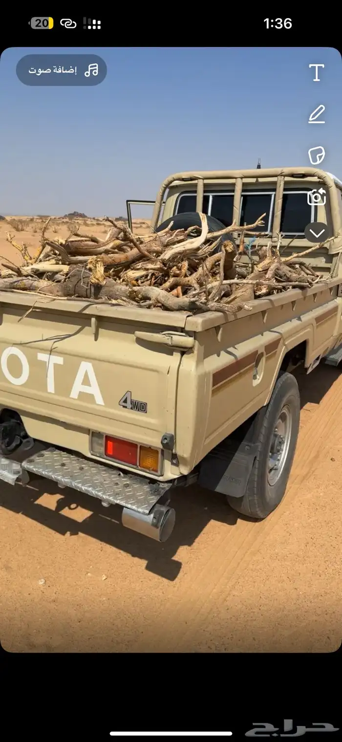 شاص لوحه سمر 0