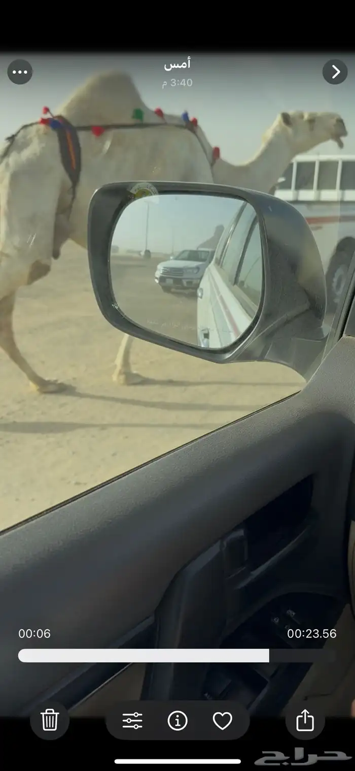 خلفه وضحا حليبها سطل وهديه وع جميع الشروط 15