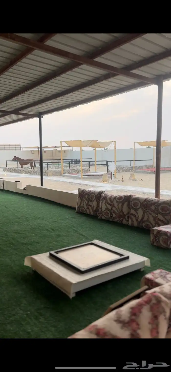 مخيم بوسط اسطبل خيول 3