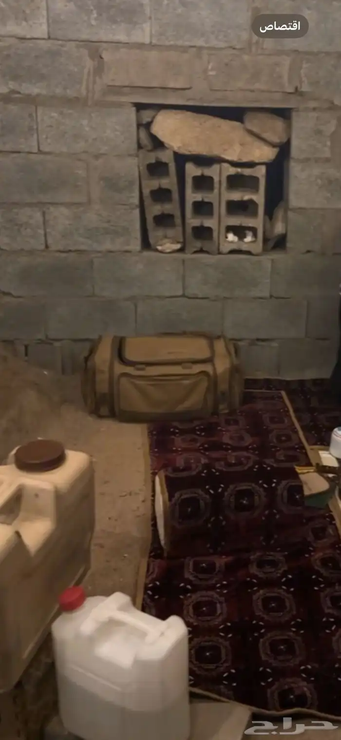 عزبه كامله متكامله 5