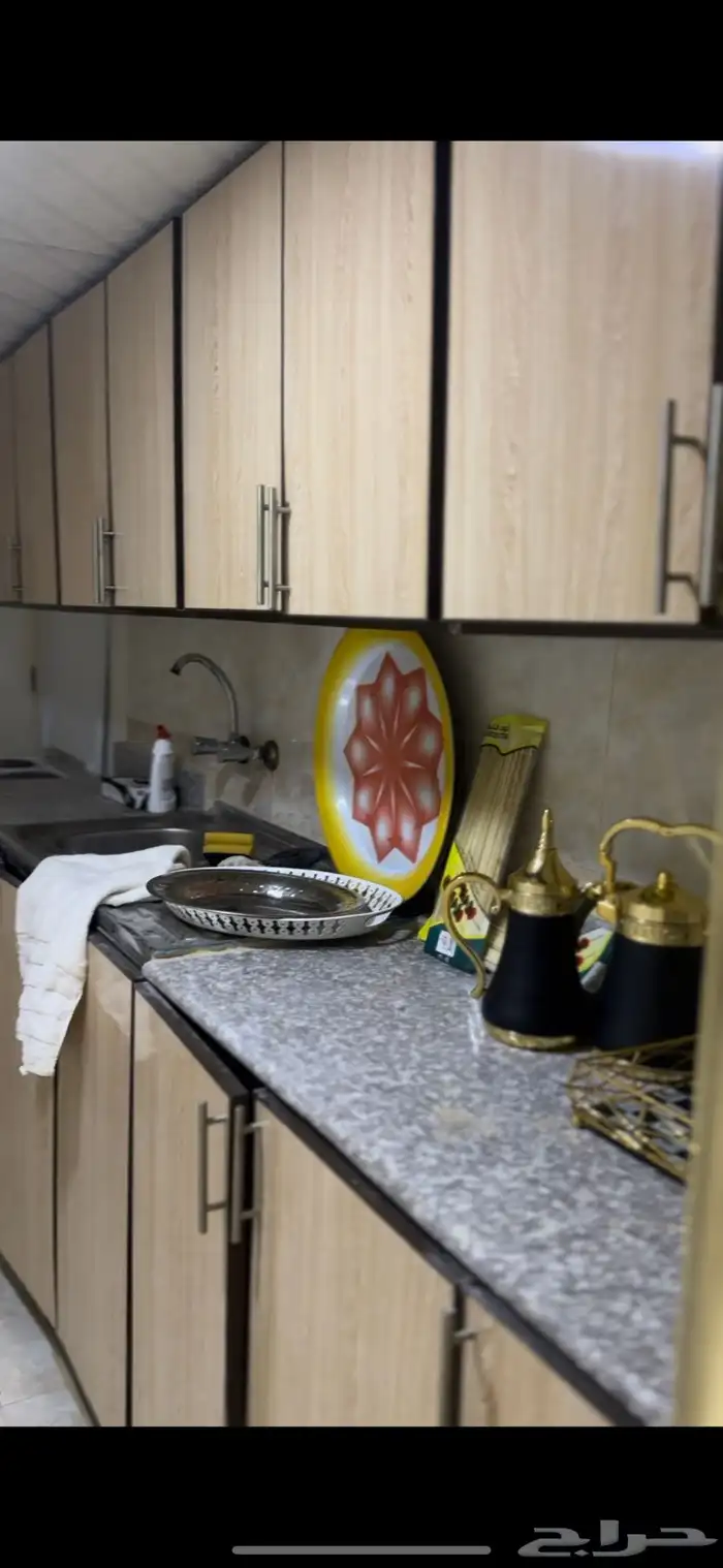 مخيم بوسط اسطبل خيول 8