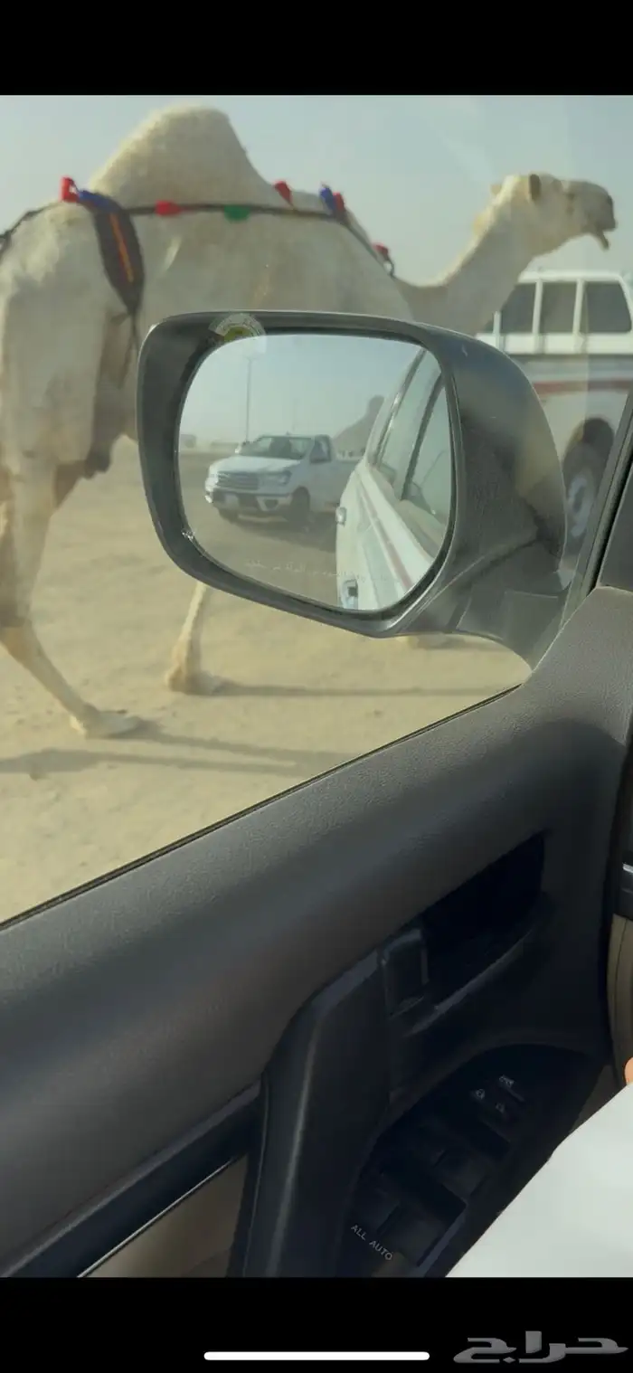 خلفه وضحا حليبها سطل وهديه وع جميع الشروط 16