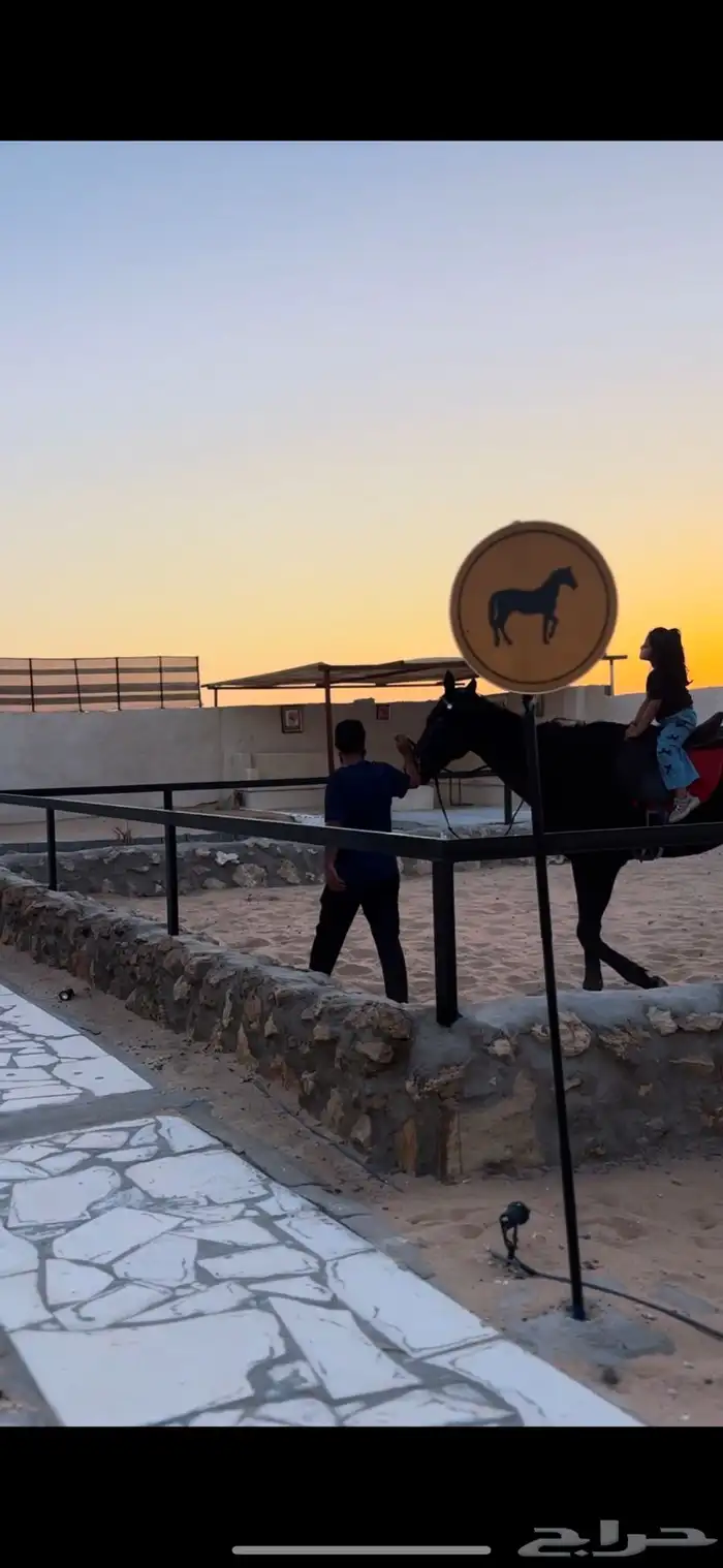 مخيم بوسط اسطبل خيول 1