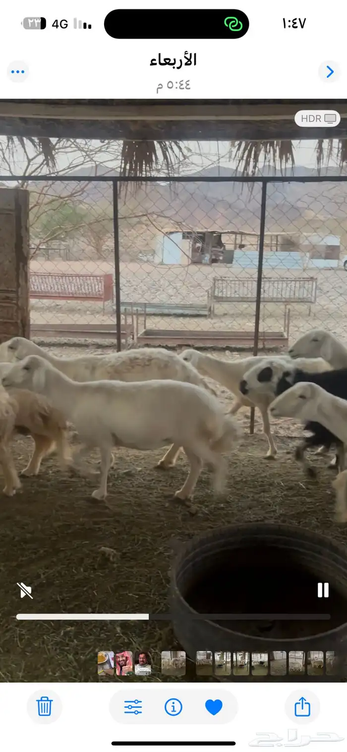 ضان حريات فواخر دفيع 1