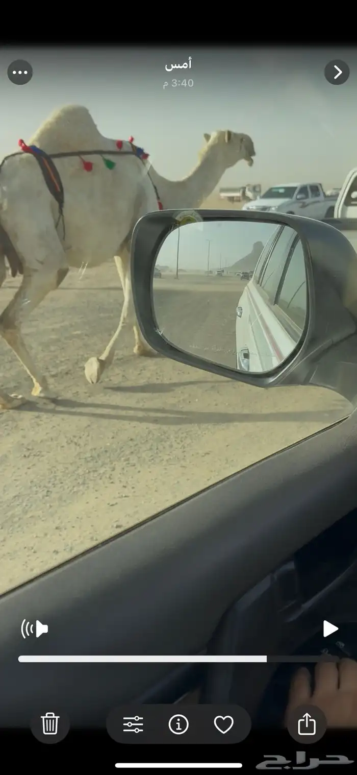 خلفه وضحا حليبها سطل وهديه وع جميع الشروط 6