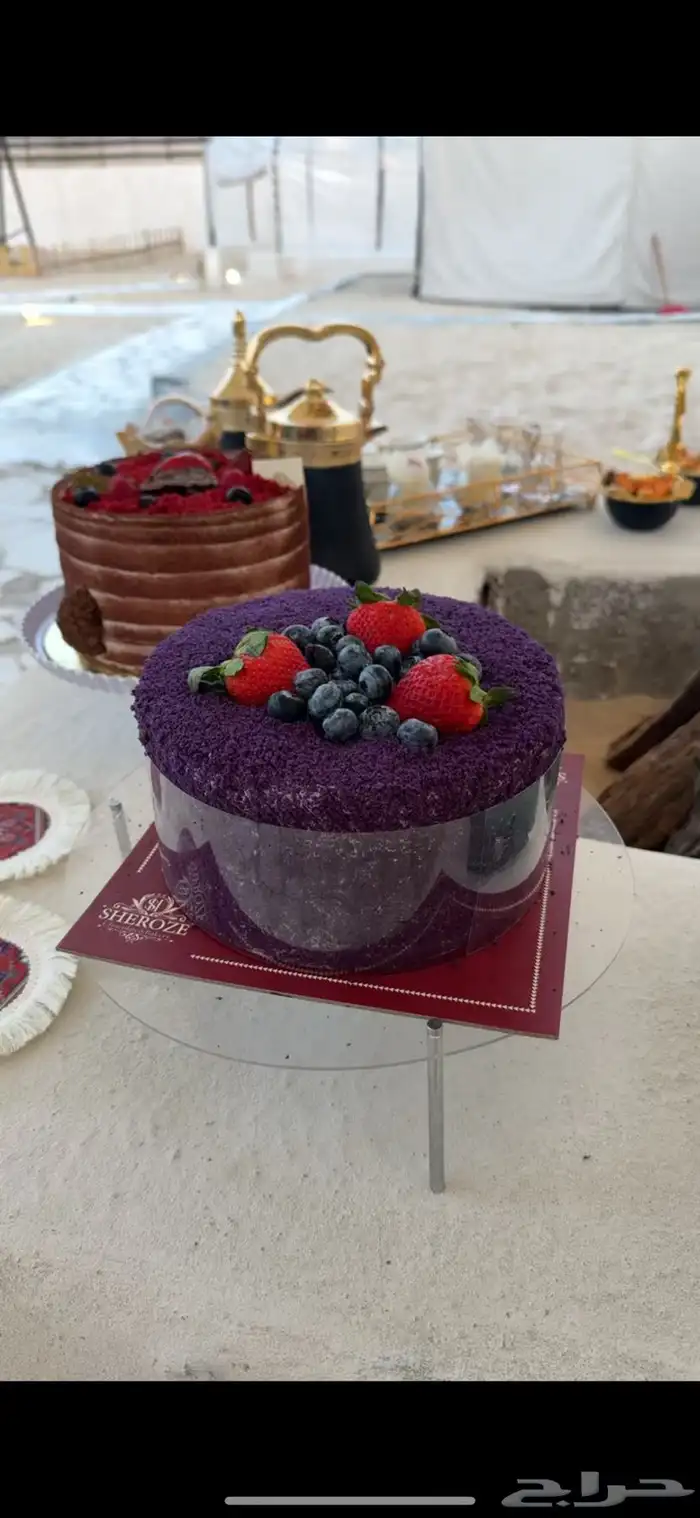 مخيم بوسط اسطبل خيول 5