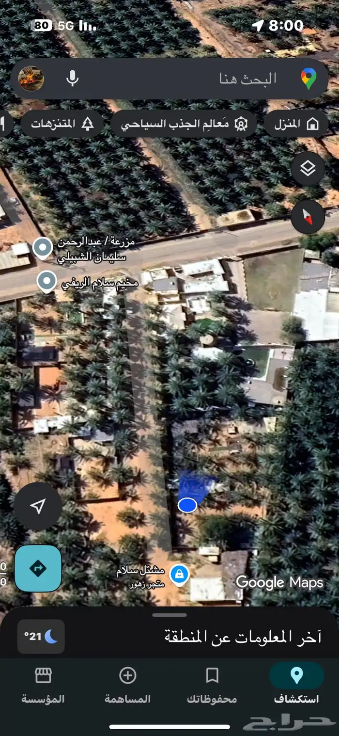 مخيم السوسن في عنيزة 12