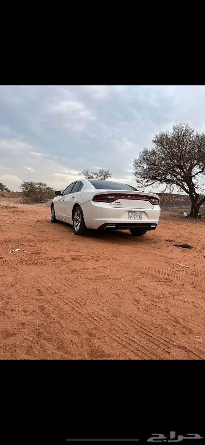 دوج 21 ستاندر 2