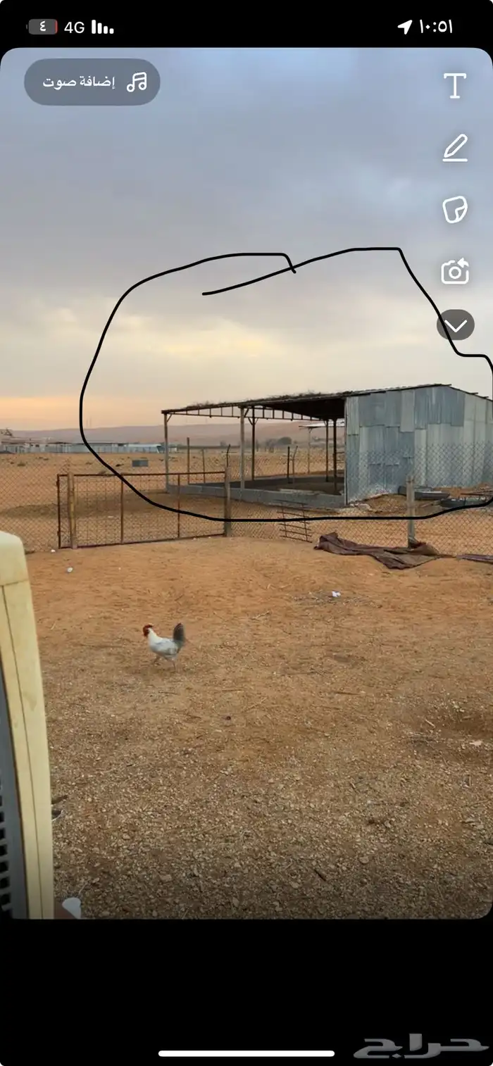 حديد للبيع اكثر من اللي بالصوره 1