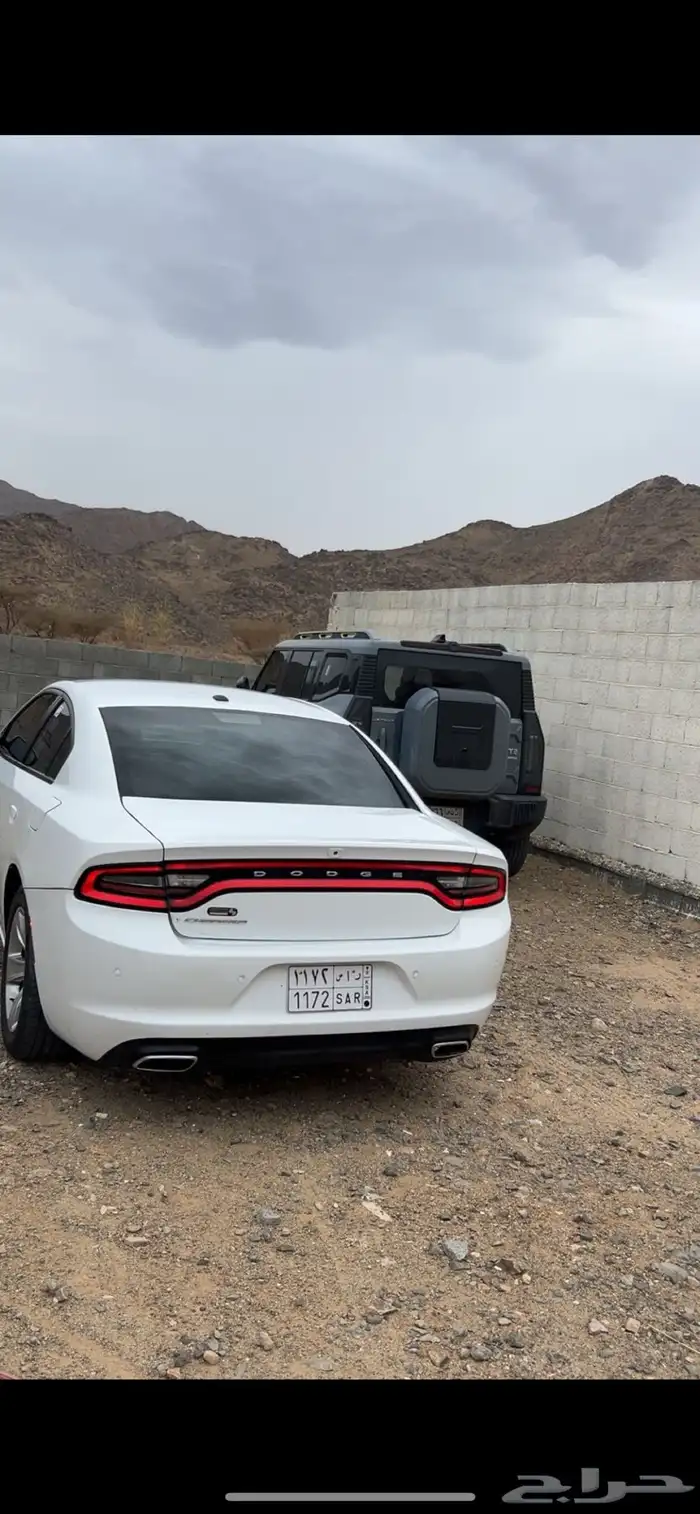 دوج 21 ستاندر 1