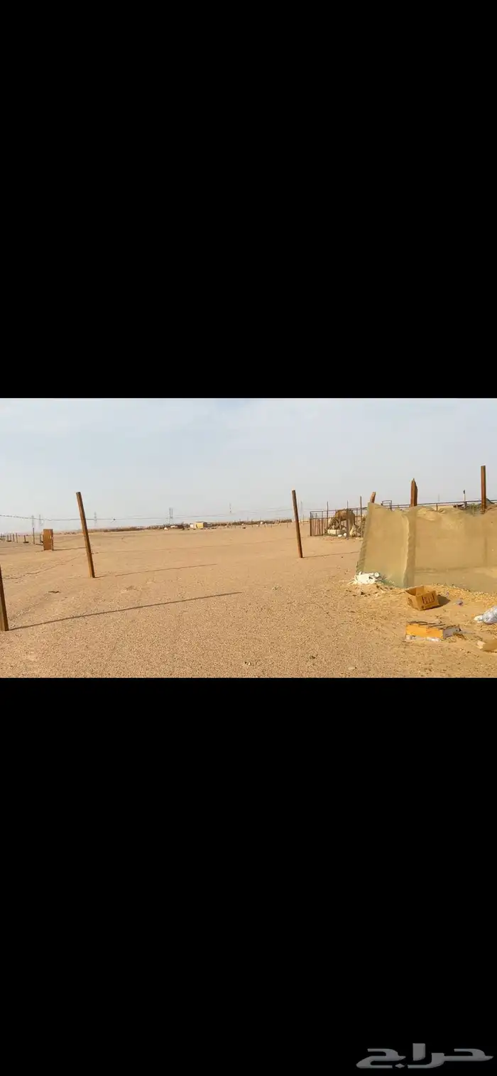 شبك غنم مراح غنم زربة غنم 0