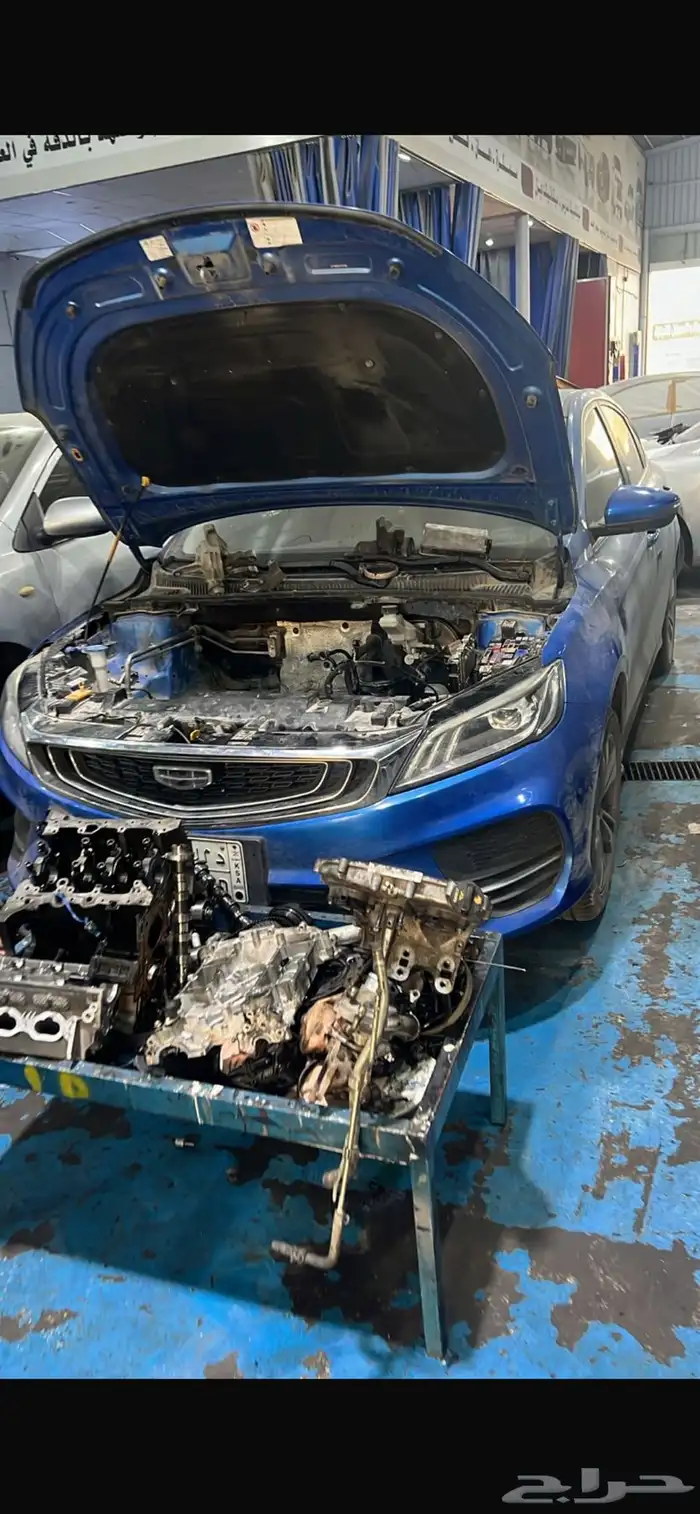 مكاين جيلي بينراي 2020 2