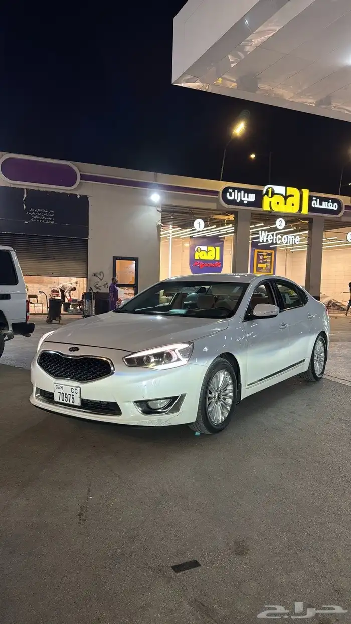 كادينزا 2014 8