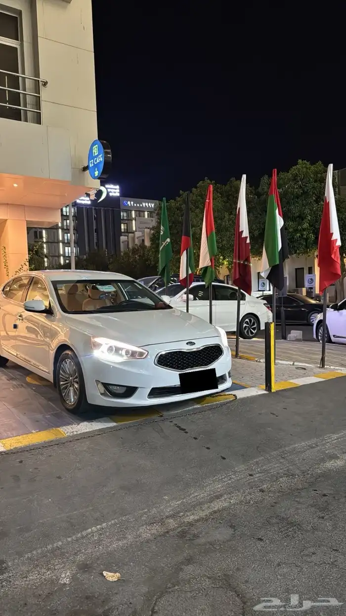 كادينزا 2014 5