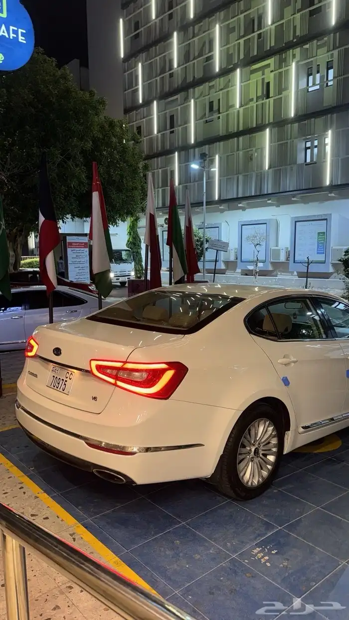 كادينزا 2014 2