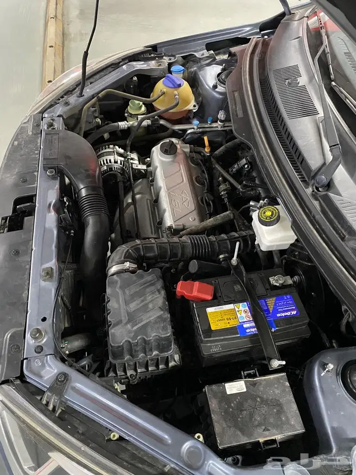 شيري مستخدم اول 12