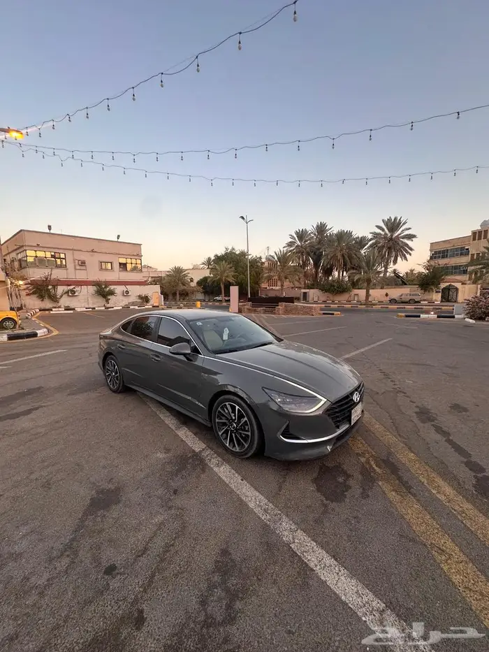 سوناتا وارد المجدوعي نص فل 2