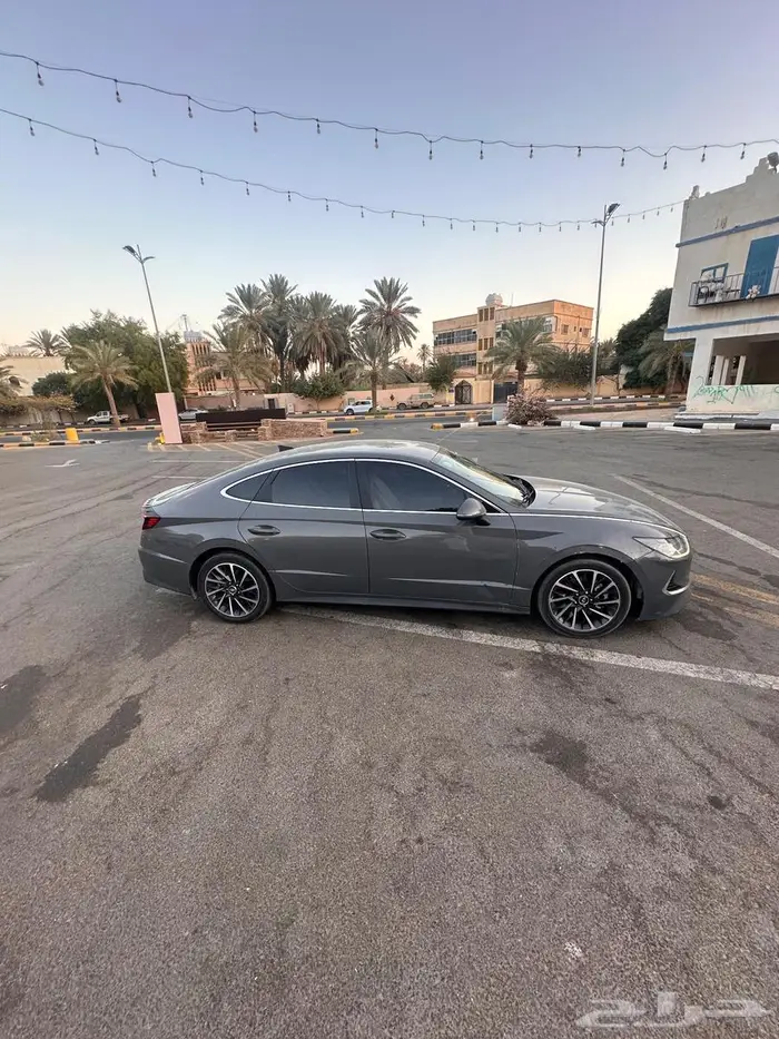 سوناتا وارد المجدوعي نص فل 1