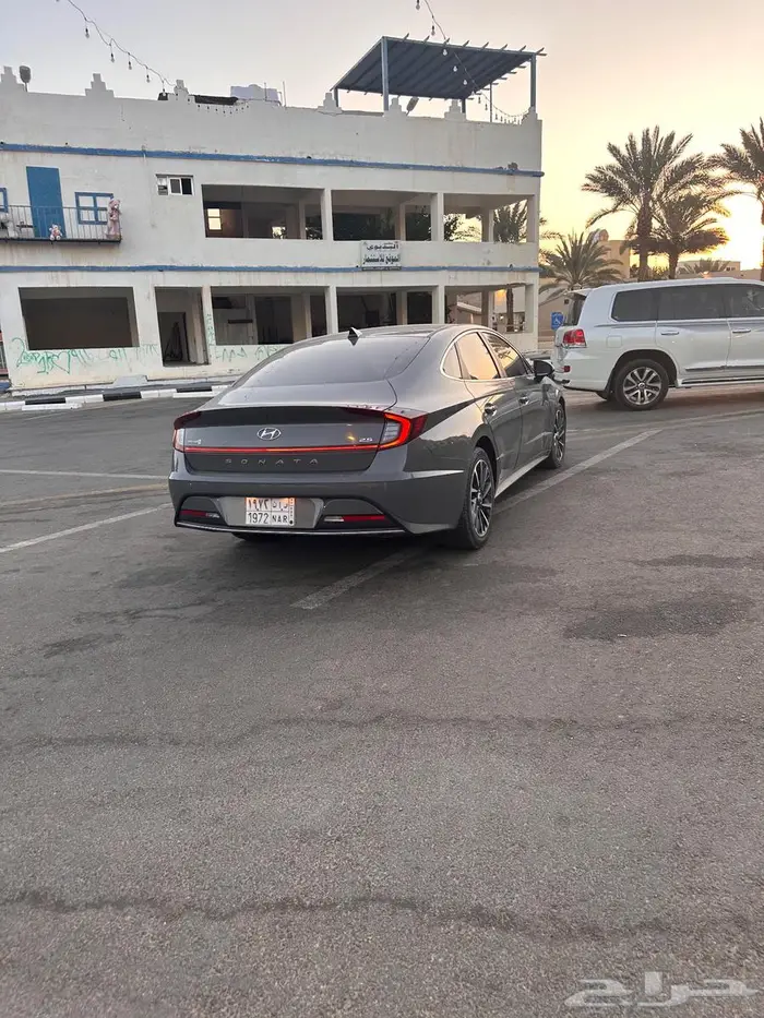 سوناتا وارد المجدوعي نص فل 8