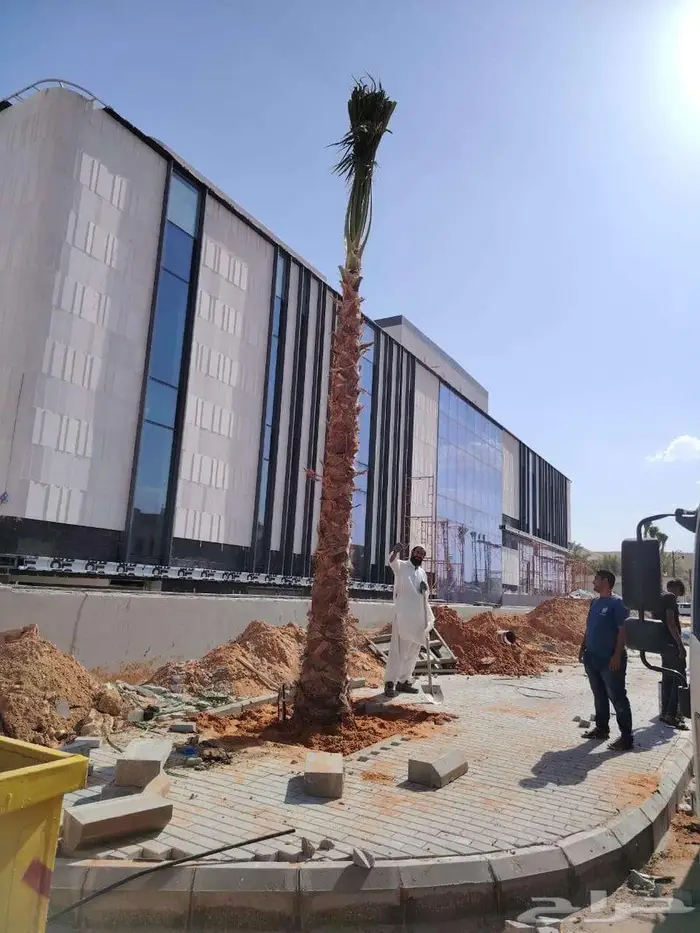 تنسيق حدائق ثيل طبيعي 5