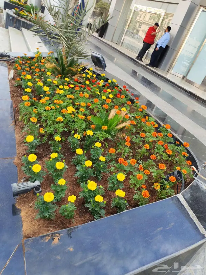 تنسيق حدائق ثيل طبيعي 4