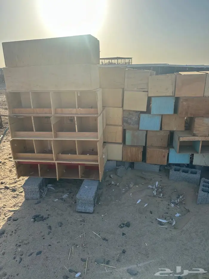 محاكر و سطول 3