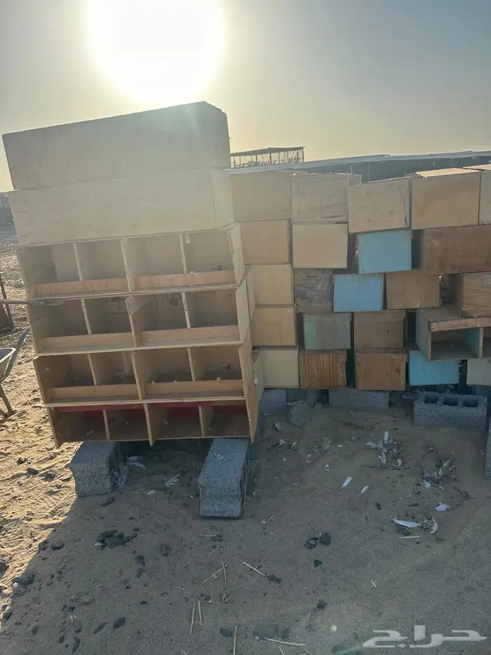 محاكر و سطول 0