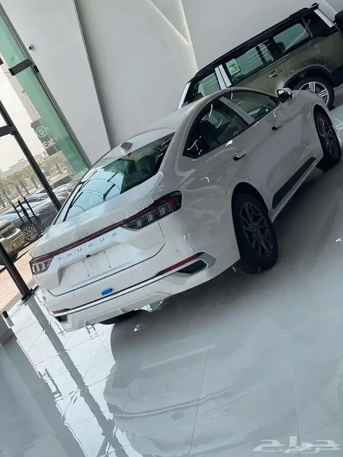 توروس امبيانتى-ترند-تيتانيوم موديل 2025-2026عرض خاص 6