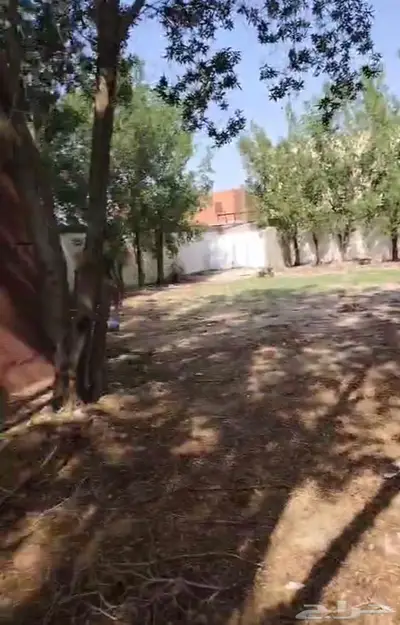 للبيع او للايجار بيت بحوش 3 صكوك إلكترونية 1400 متر ببحرة. index