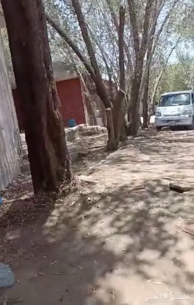 للبيع او للايجار بيت بحوش 3 صكوك إلكترونية 1400 متر ببحرة. index