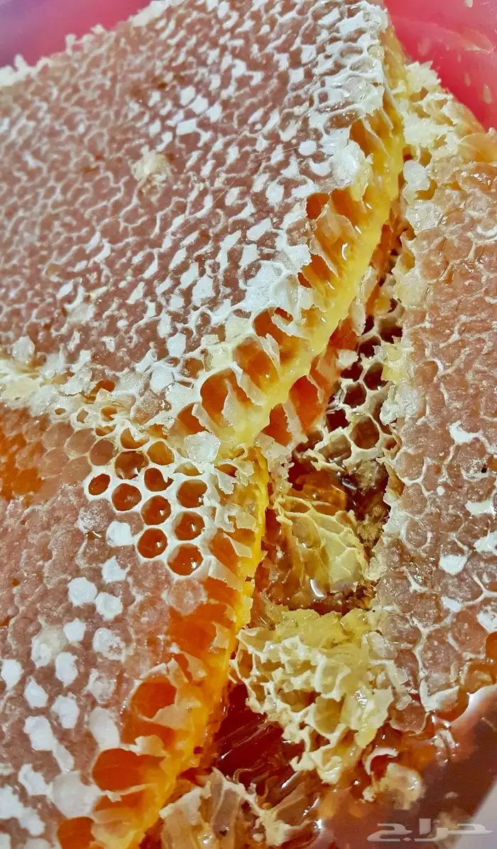 عسل سدره وسمره وطلحه وغذاء المكات اصلي ومضمون 7