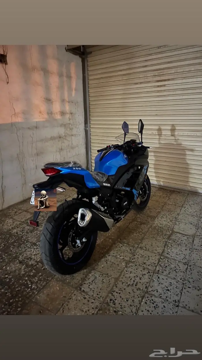 ريس 250 صيني 0