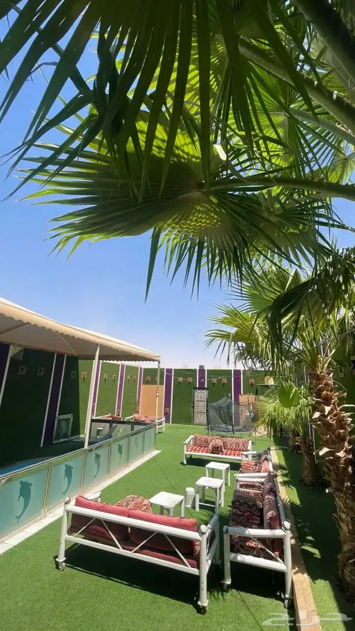 شاليهات جنوب الرياض 200 فقط 5