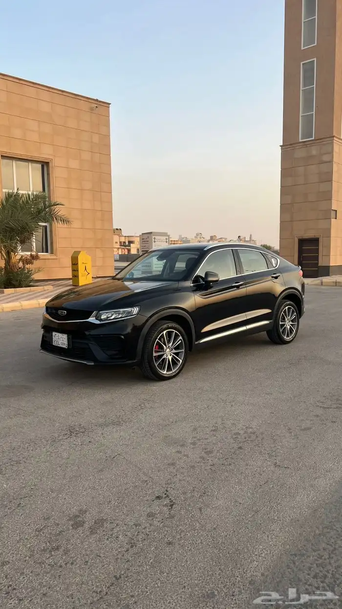 توجيلا جيلي 2022 7