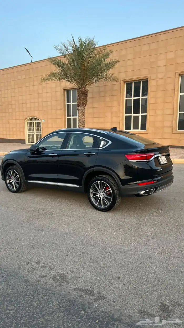 توجيلا جيلي 2022 8