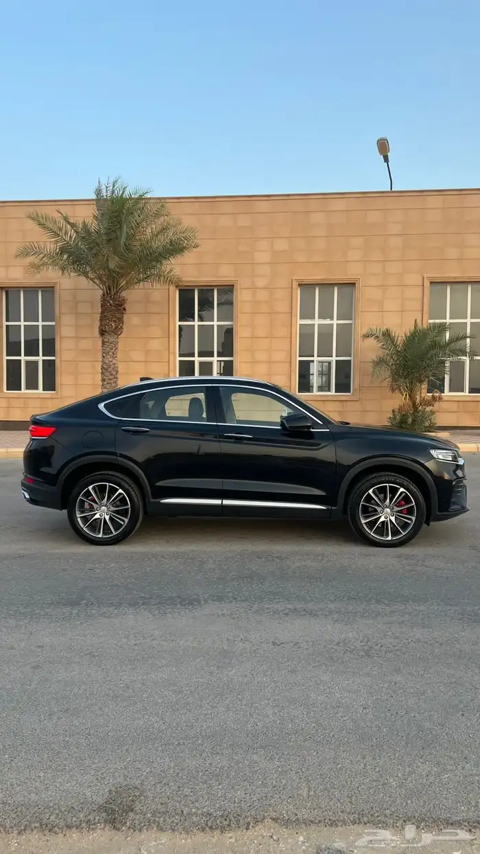 توجيلا جيلي 2022 9