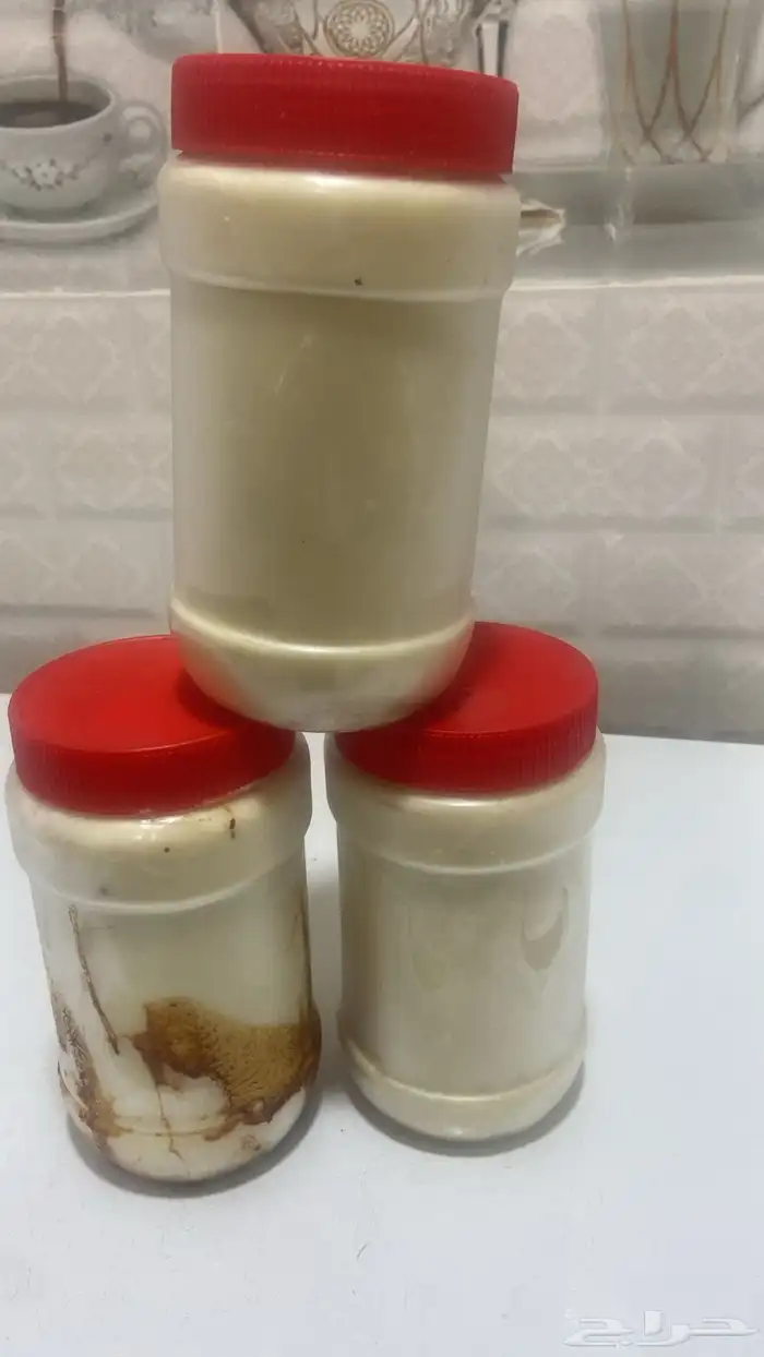 سمن غنم بري 1