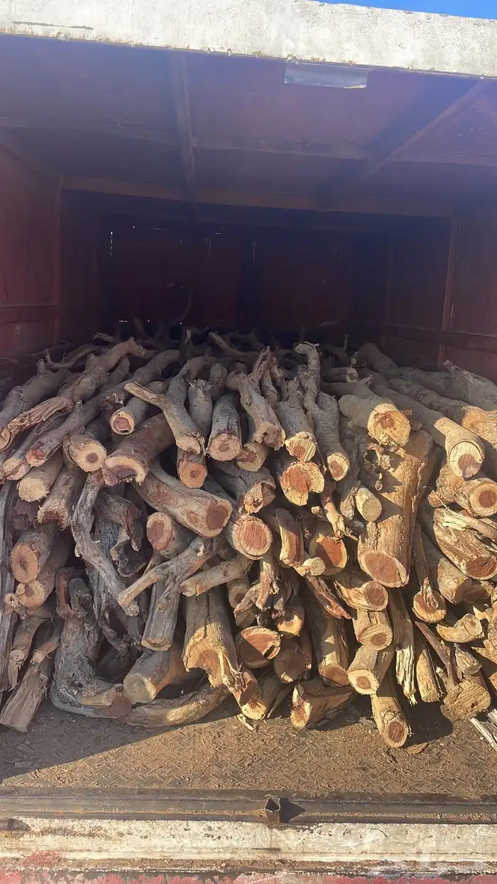 البيع ددسن 4