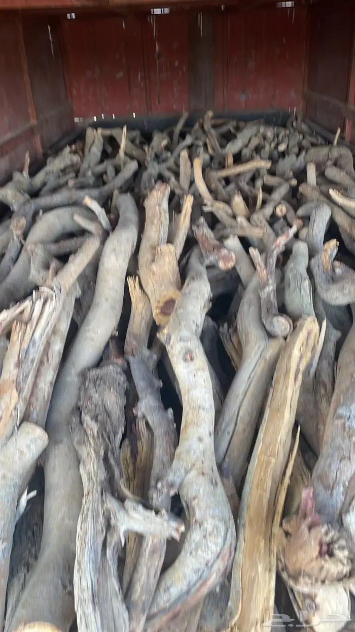 البيع ددسن 2