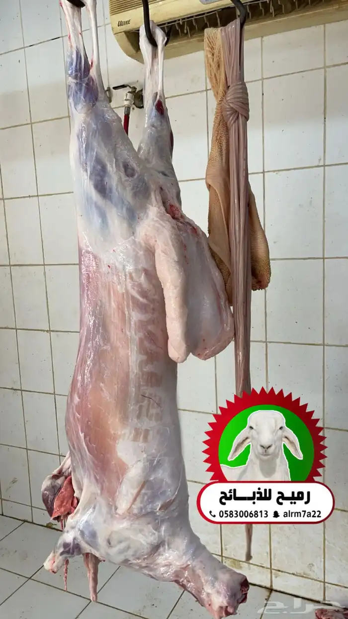 رميح للذبايح.. نحرص على اجود انواع الذبايح 3