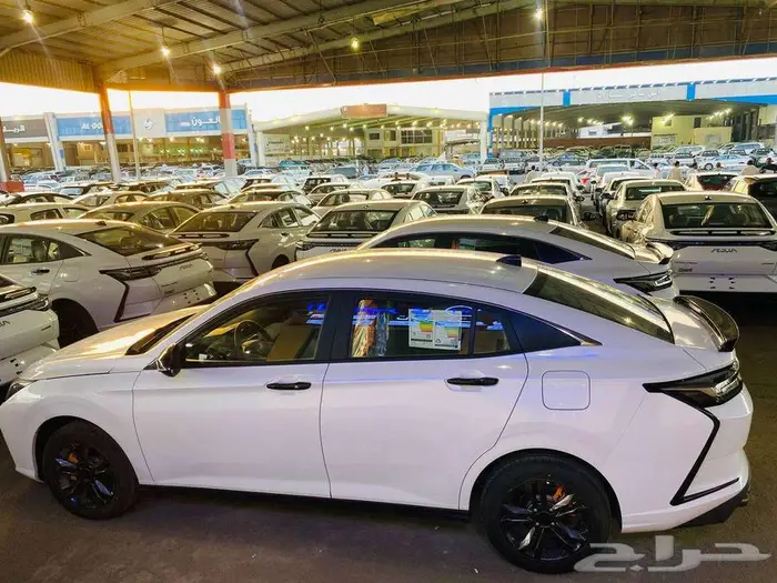 دونغفينغ شاين ماك E1 استندر 2025 ( كاش و اقساط ) 6